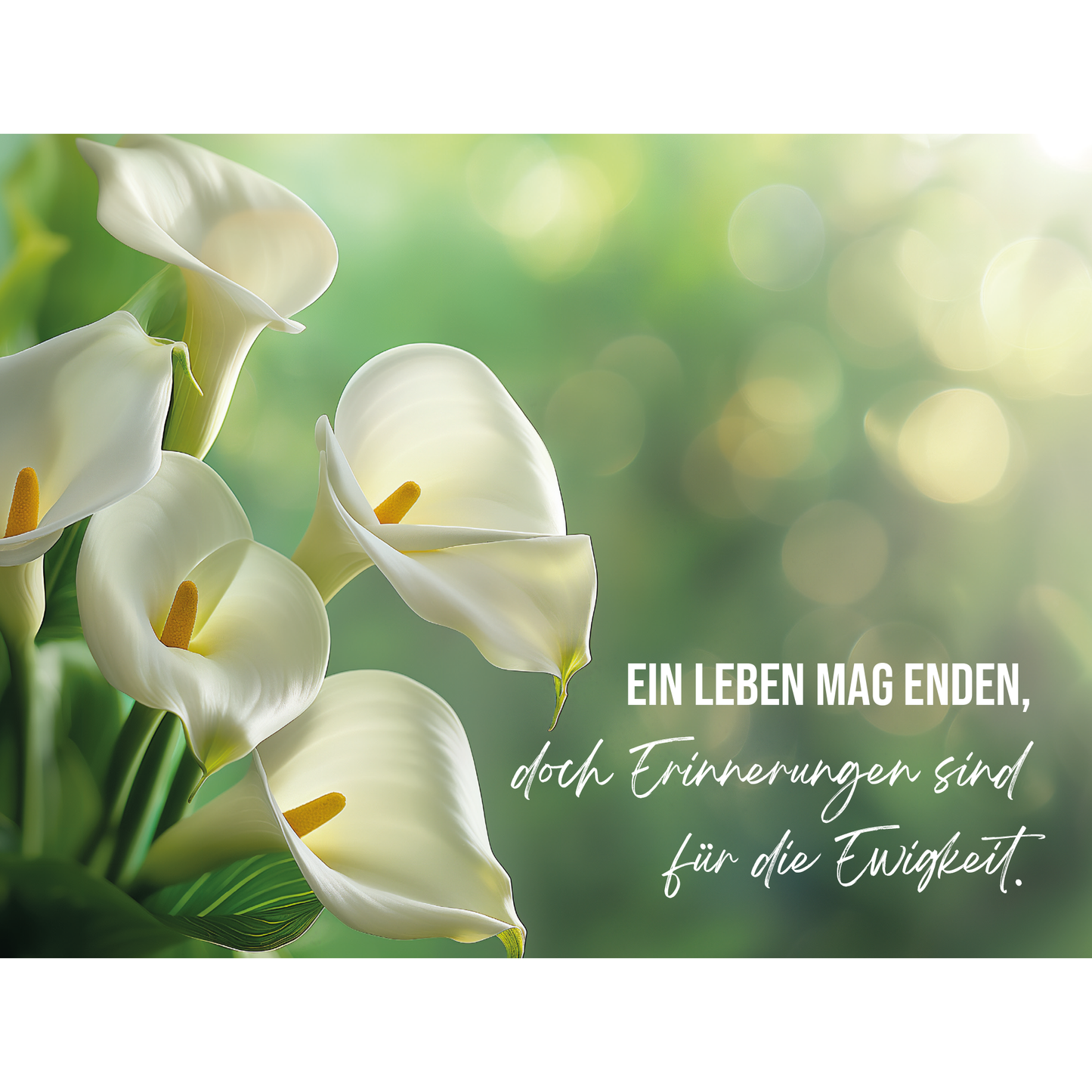 Dekoschild 20 x 15 cm – Zarte Calla-Lilien – „Ein Leben mag enden …“