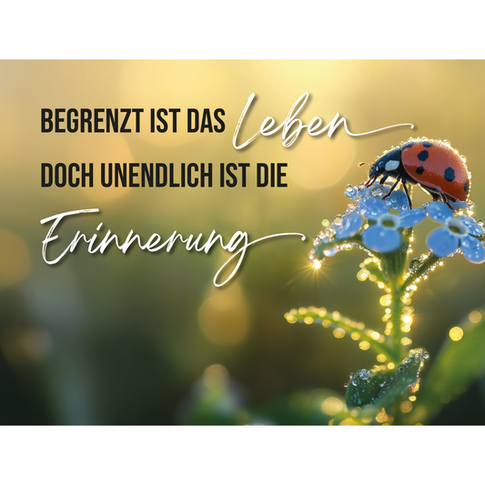 Dekoschild 20 x 15 cm – Tautropfen im Morgenlicht – „Begrenzt ist das Leben …“